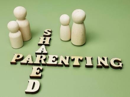 Oswego, IL Parental Responsibilities Lawyer